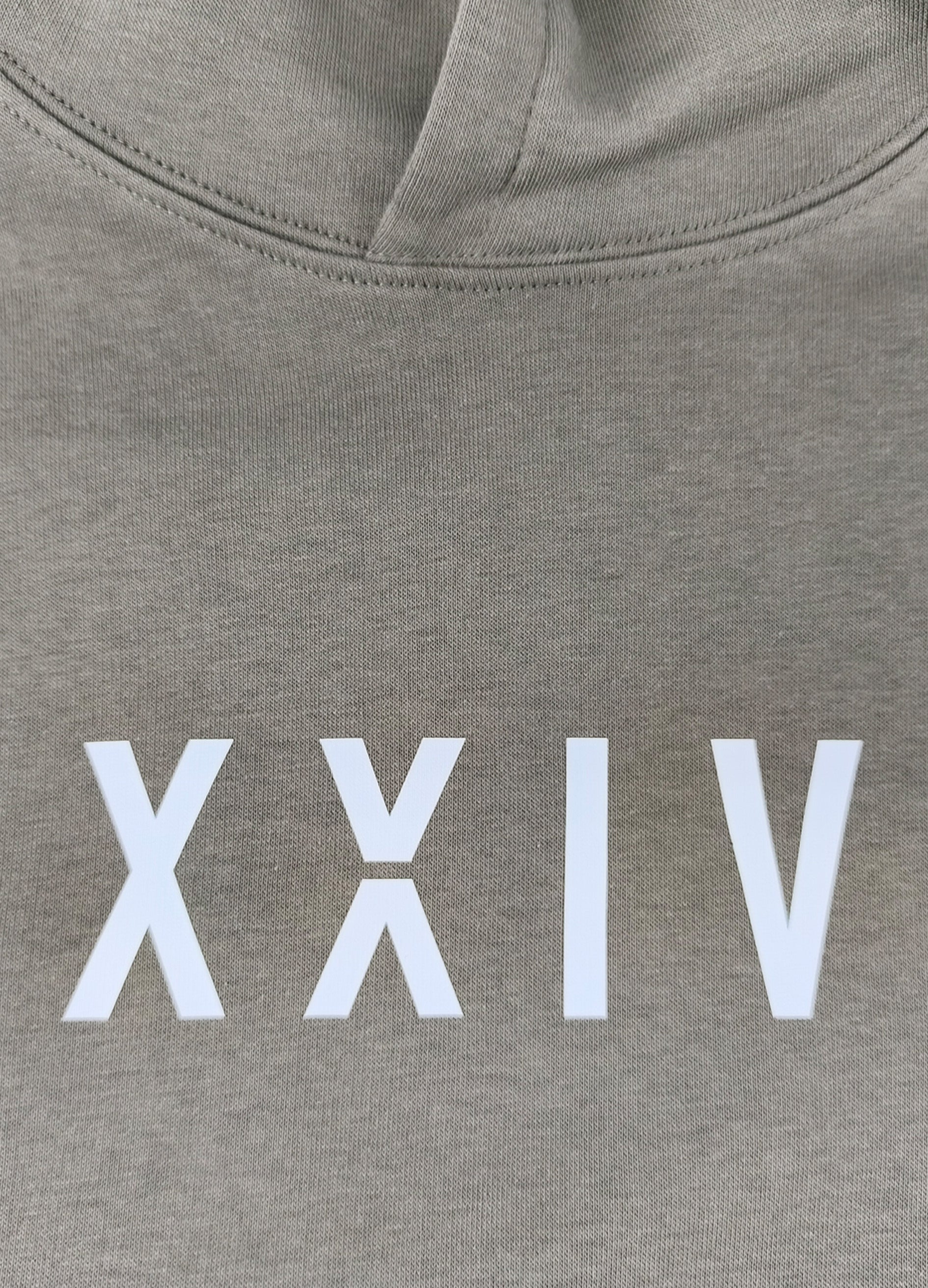 Hoodie XXIV big - unisex